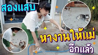 เละ!! สองพี่น้องทำแสบ หางานให้อิแม่อีกแล้ว - ข้าวนึ่ง & เดอะแก๊ง