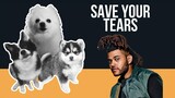 Save Your Tears but Dogs Sung It (Doggos and Gabe)