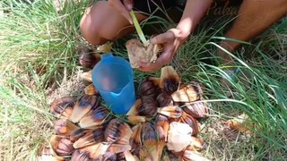 Bunga ng nipa with nilagang saging at kilawin na bangus|mukbang Philippines