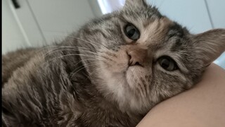 麻麻你睁眼看看我呀，我饿啦