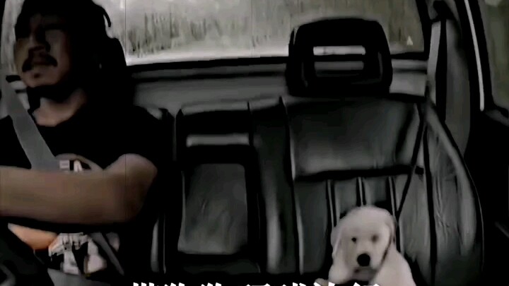 Dog: It’s fine without you, I’ll do it myself.