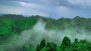 প্রকৃতি