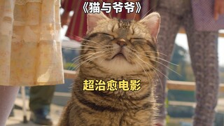 一人一猫一岛共度余生，超治愈电影《猫与爷爷》