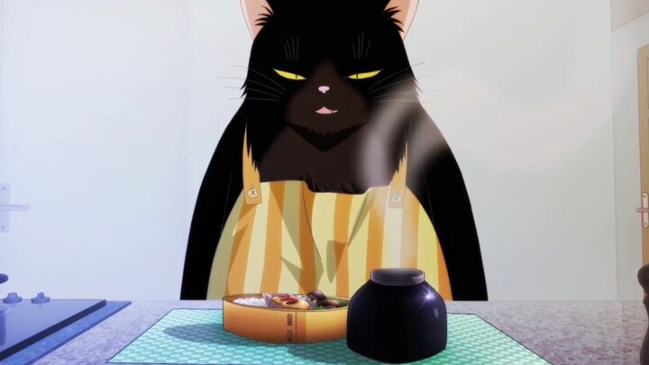 Dengan adanya kucing ini di rumah, apa yang diinginkan pasangan?