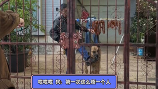 Anjing: Ini pertama kalinya aku begitu menyebalkan pada seseorang.