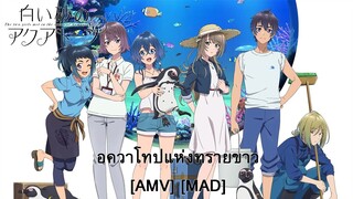 Shiroi Suna no Aquatope - อควาโทปแห่งทรายขาว (Circle in the Sand) [AMV] [MAD]