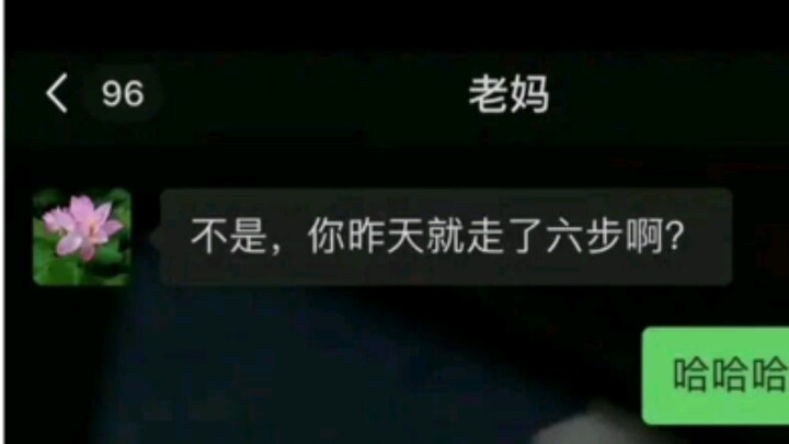 On holiday, I’ve turned into a tree person!