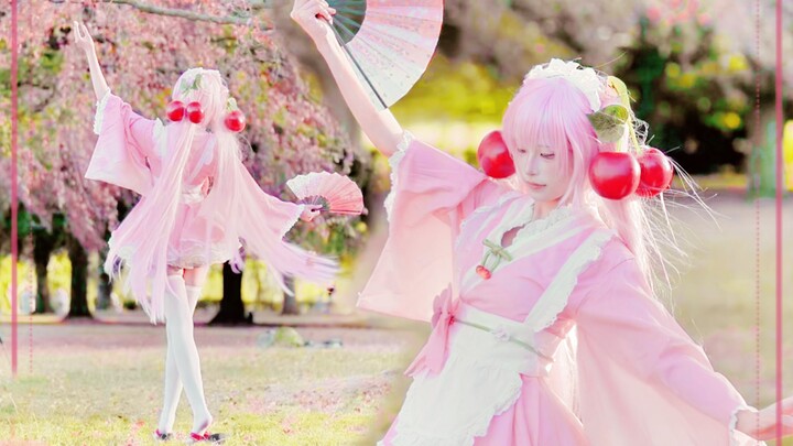 [Salty Cat] “Senbonzakura” in its ??th year! Happy birthday, Your Highness (*^▽^*)