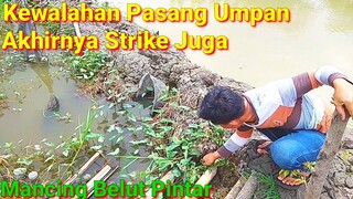 Mancing Belut Pintar Bikin Kewalahan