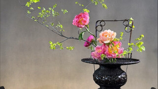 Hướng dẫn cắm hoa mẫu đơn san hô hoàng hôn theo phong cách Trung Hoa #cắm hoa #cắm hoa thám hiểm #cắ