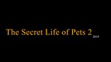 The Secret Life of Pets 2 2019