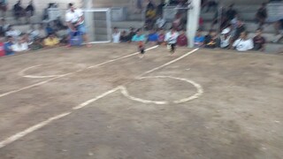 gold talisay