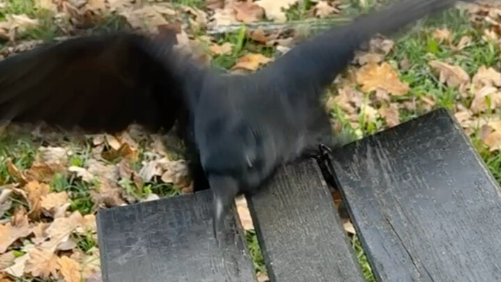 ภรรยา: สวย มั่นใจ สง่างาม / สามี: หน้าฟาด