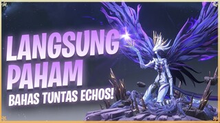 BAHAS TUNTAS TENTANG ECHO DAN TIER SUBSTAT - WUTHERING WAVES [TOPUP DI FEBRY.STORE]