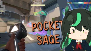 momen ketika mencari pocket sage