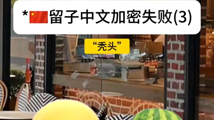 The Consequences of Liu Zi Giving a Big Chinese Lesson Abroad