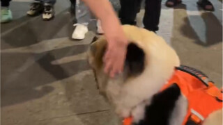 I had to go through security four times before I could board the ship 😂😂