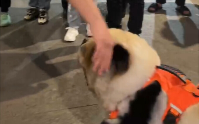 Bị nhân viên an ninh kiểm tra bốn lần mới được lên tàu 😂😂