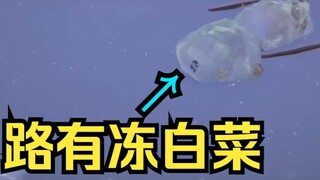 Baicai memainkan "Beast Party" dan dikejar serta dipukuli oleh penonton. Setelah berhasil melawan hi