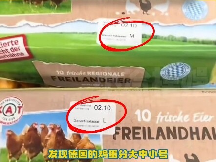กฎหมายคุ้มครองสัตว์ในต่างประเทศคุ้มครองแม้กระทั่งไก่ด้วย!