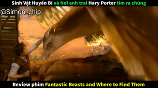 Review phim Sinh Vật Huyền Bí phần 1 #reviewfilm