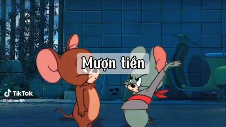 Video vui