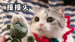 قطة تقاتل الديناصور على الطعام، بل وربتت على رأسه أيضًا!