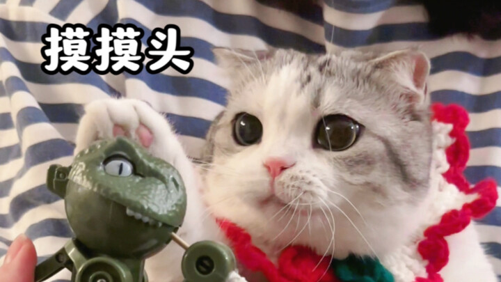 Kucing merebut makanan dari mulut dinosaurus, malah membelai kepala dinosaurus itu