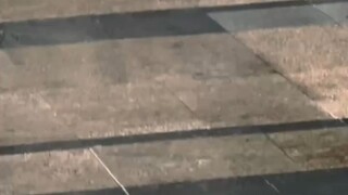 明明我可以走上车 但她非要淋雨下来接我 生怕我淋湿一点