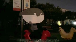 【本人映像】萨卡班甲鱼