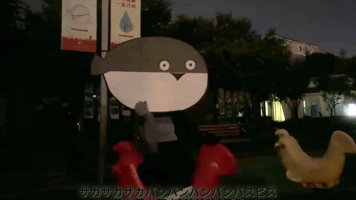 【本人映像】萨卡班甲鱼