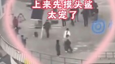上来先摸头鲨~太宠溺了!陪你嬉戏玩闹!#肖战杨紫 #肖战 #杨紫