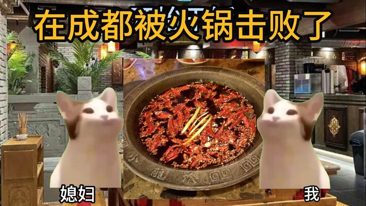 [Cat Meme] Defeated by Hot Pot in Chengdu