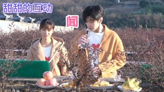 《沈月X陈哲远》他们的互动奇奇怪怪的，怪甜的