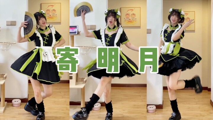 熊猫妹跳寄明月
