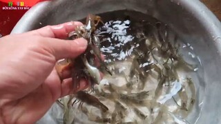 Cắt Cơn Thèm Chất Tanh Món Tôm Nhảy Ngày Tháo Ao __ Đời Sống Tây Bắc