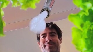 ประสบการณ์มุมมองบุคคลที่หนึ่ง: ชีวิตของ "ผักกาดหอม" ที่ถูกกิน