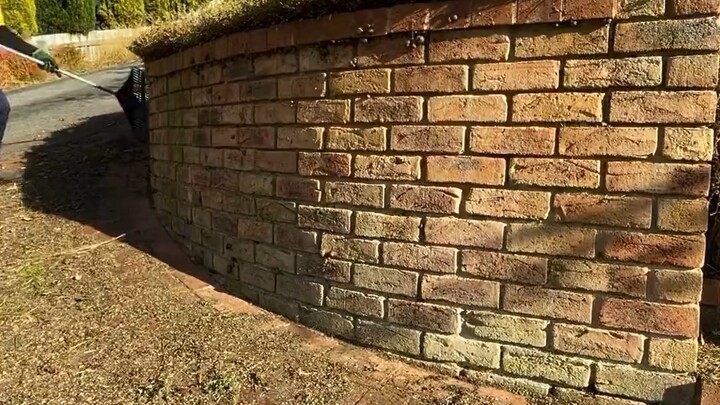 [Angry Tiger Stress Relief Video] The latest video is now available—please follow!