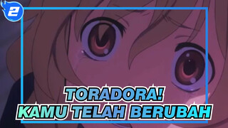 [Toradora!] Kamu Telah Berubah Dalam Terang_2