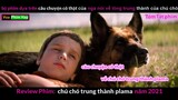 Chú chó Trung Thành khiến hàng Triệu người Rơi Lệ - Review Phim Chú Chó Trung Thành Palma