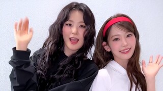Jangan lewatkan comeback-nya! Seulgi & koleksi dance penggemar terkenal 'BNB'