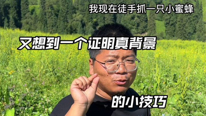 为了证明这是真背景，我把蜜蜂大哥请来了！