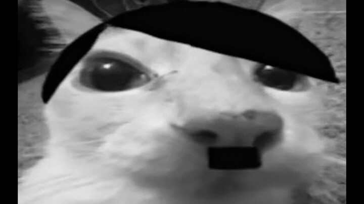 [Overseas Hilariously Awkward & Absurd Compilation #08]