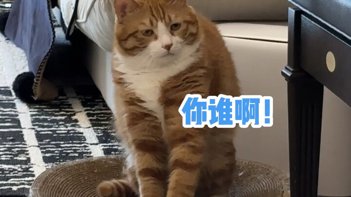 Lại còn không biết tôi nữa! Định nhận người khác làm mẹ à!