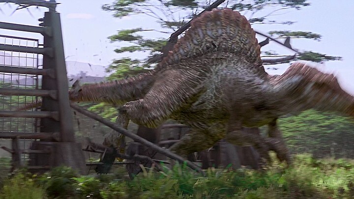 Which dragon was stronger than Tyrannosaurus rex in the Jurassic period? 【60 frames】【HD】