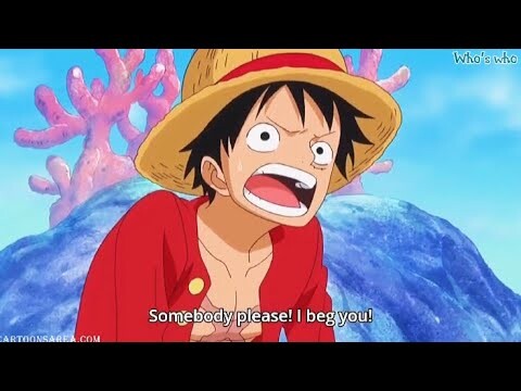 Luffy bows his head to save sanji