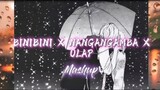 Binibini MAshup-Animated Video Lyrics|by Pipah & Neil