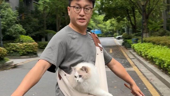 منذ أن أصبحت أُخرج القط للتنزه باستخدام كيس الدقيق، تحسنت حالتي النفسية كثيرًا...