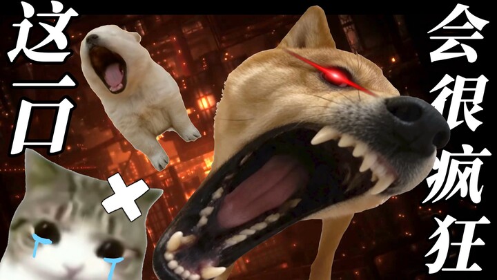 ⚡Has the big dog been wound up? Is this for real???