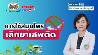 การใช้สมุนไพรช่วยเลิกยาเสพติด l Podcastอภัยภูเบศร (2023)